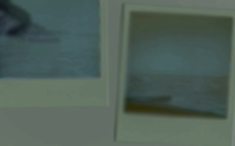 小学三年级照片作文【实用5篇】