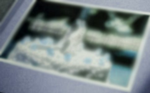 ��Ƭ��Ĺ������꼶����