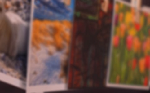 �ֿ������ǵı�ҵ��Ƭ(�˽̰����)