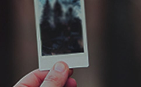 ��Ƭ��Ĺ�����������