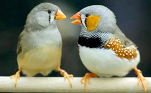 �������񡷽�ѧ��˼14ƪ