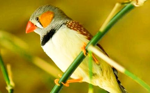 ���ġ������񡷽�ѧ��˼