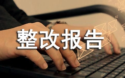 项目绩效自评整改报告