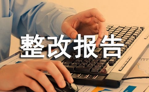 师德师风自查整改报告