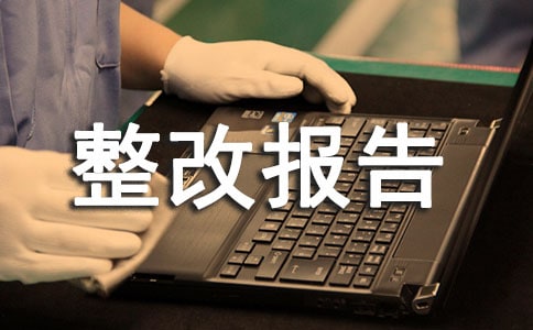 单位自查自纠整改报告