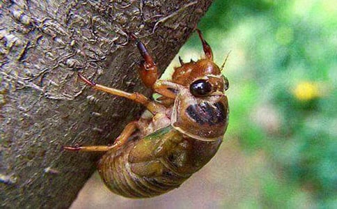 ֪��Сѧ����400�ֻ��10ƪ