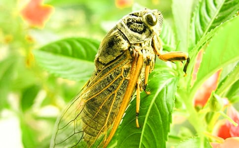 ֪��Сѧ����300�ֽ���7ƪ