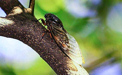 ׽֪���ռ�7ƪ