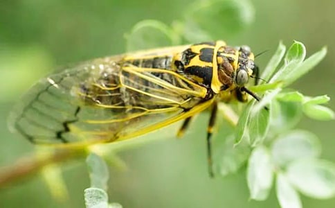 ����Ʒ��֪��Сѧ����300��4ƪ