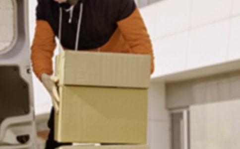 ְҵ������