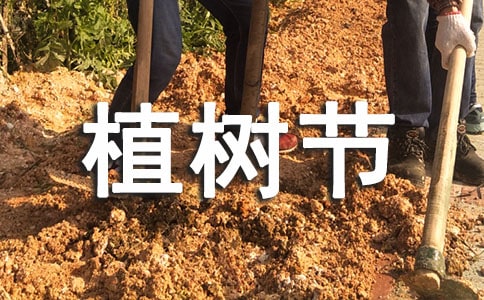 ֲ���ڵ��ռ�