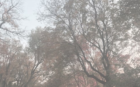 �����ʫ���ס��̰� --�ϻ�����--�ڰ���ֲ��԰ �̰���ѧ���