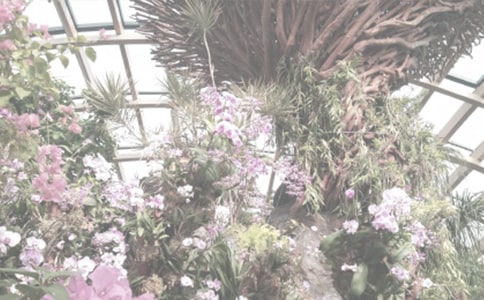 ����Ʒ��ֲ��԰�ռ�3ƪ