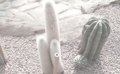 �ۺ�ʵ����ֲ��԰�������ա�˵�θ巶��