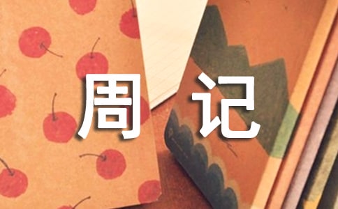 ƽ�������ܼǷ���