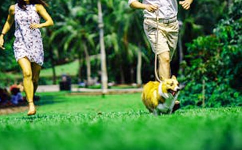 ������ĩ�ܼǴ�ȫ