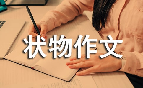 实用的写状物作文汇总六篇