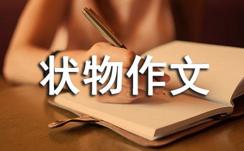 实用的写状物作文汇总7篇