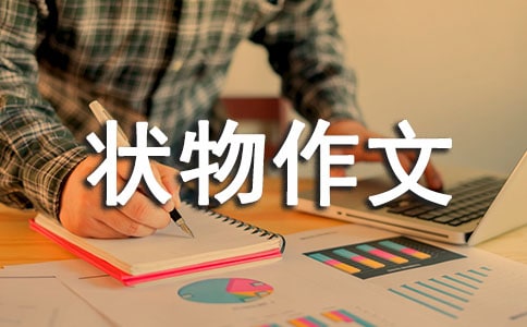 [����]д״������15ƪ