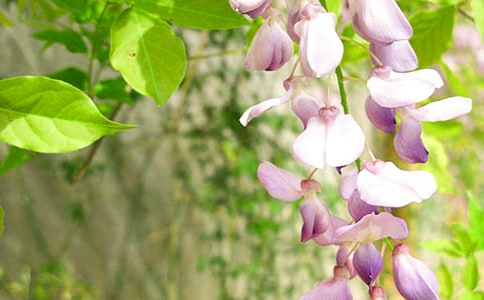 С��������ָ���̰������ٻ�