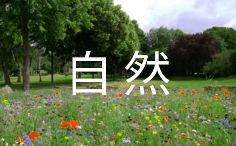 ������Ȼ�����ԡ���ѧ��˼�����ϣ�