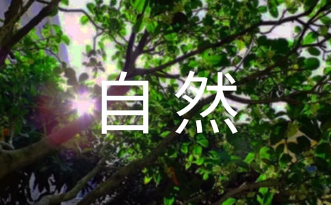 自然之道说课稿通用(15篇)