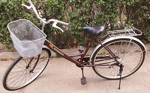 骑自行车的感觉日记