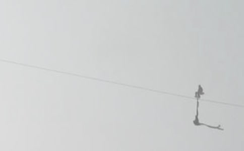 ð��С���߸�˿����ѧ�̰�