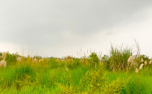 ���߽���г�Ĵ��졷����ʼ�