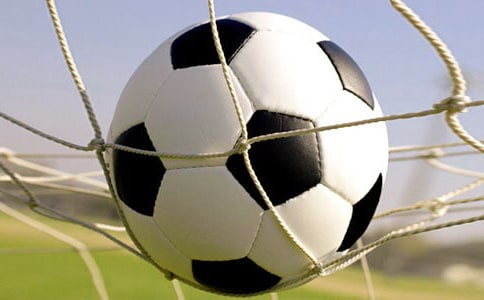 ����Сѧ����6ƪ�����ţ�