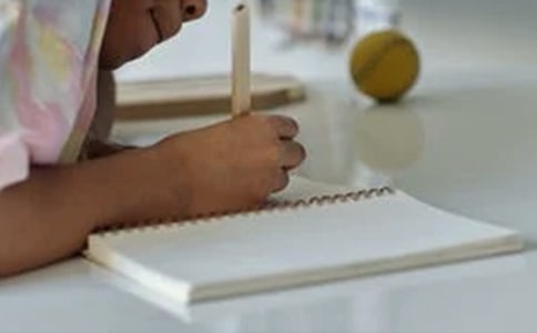 ʵ��Сѧ������600�ּ���5ƪ