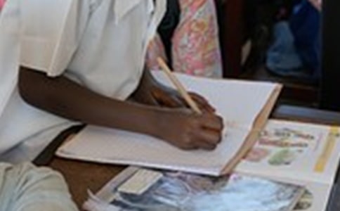 小学的作文300字通用3篇