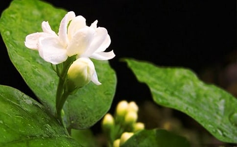 ���򻨹۲��ռ�