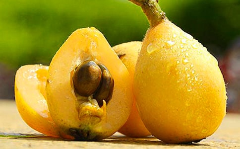 �а�������������˺�