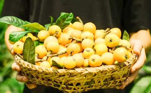 ժ����Сѧ����