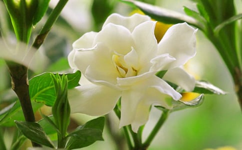 ���ӻ��ռ�3ƪ