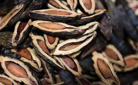 槟榔树下摇网床教案