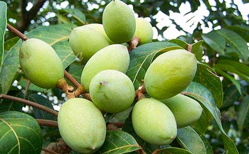 ��Ҳ�ι�һö�����-������