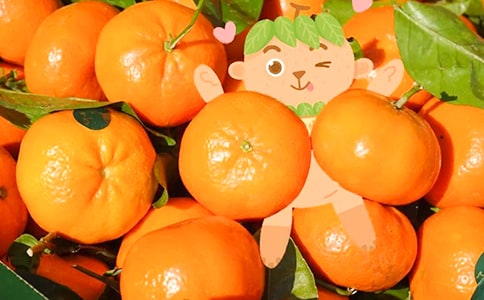 �������ӡ�С��̰�