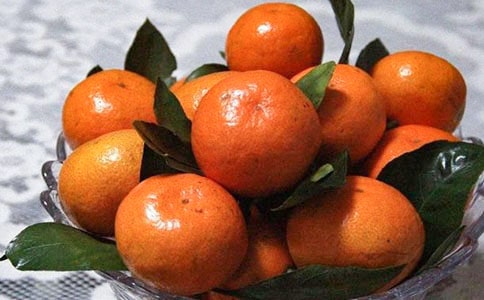 �洨��֮�顶���ӡ�ȫ���Ķ� (��������)