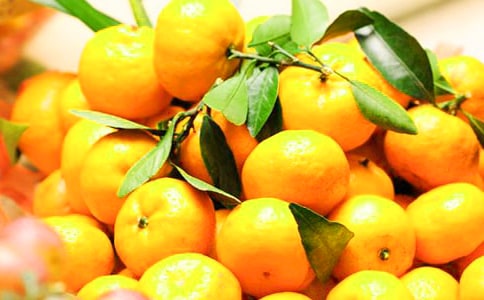 ����Сѧ����15ƪ