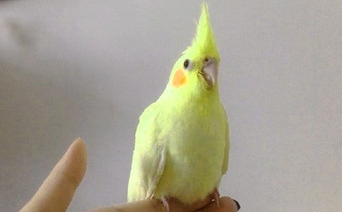 ���Ĺ۲��ռ�