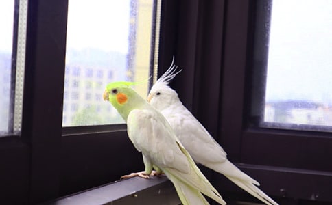 ���ĵ��ռ�