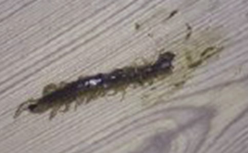 ��ཡ�����ʿν̰�����ѧ��˼���������