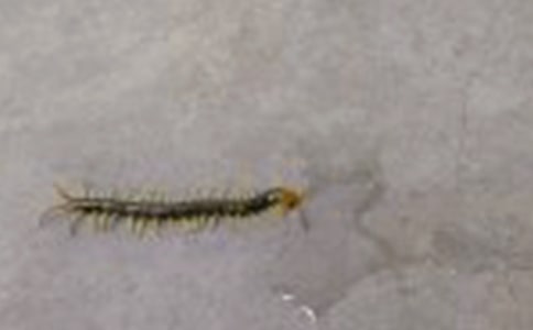 ��ཡ��������̰�