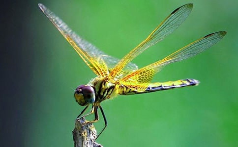 [����]�����ѽ̰�