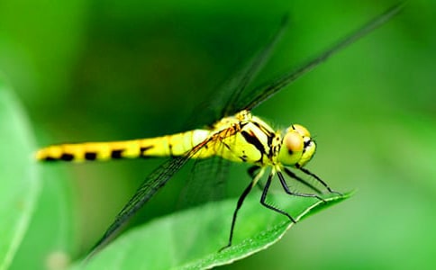 �а����ѽ̰�