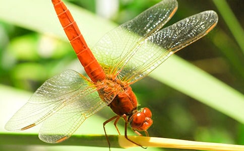 �������ۡ������