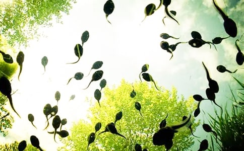 С���������С�������̰�