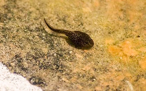 С����������ѧ��˼ͨ��[15ƪ]